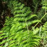 IMG_20240413_144159