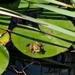 IMG_20240509_105736
